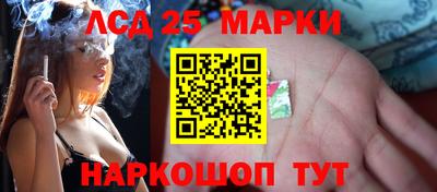 спиды Новозыбков