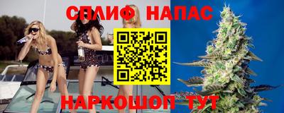 спиды Новозыбков