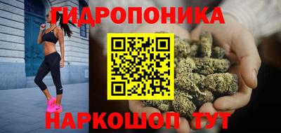 спиды Новозыбков