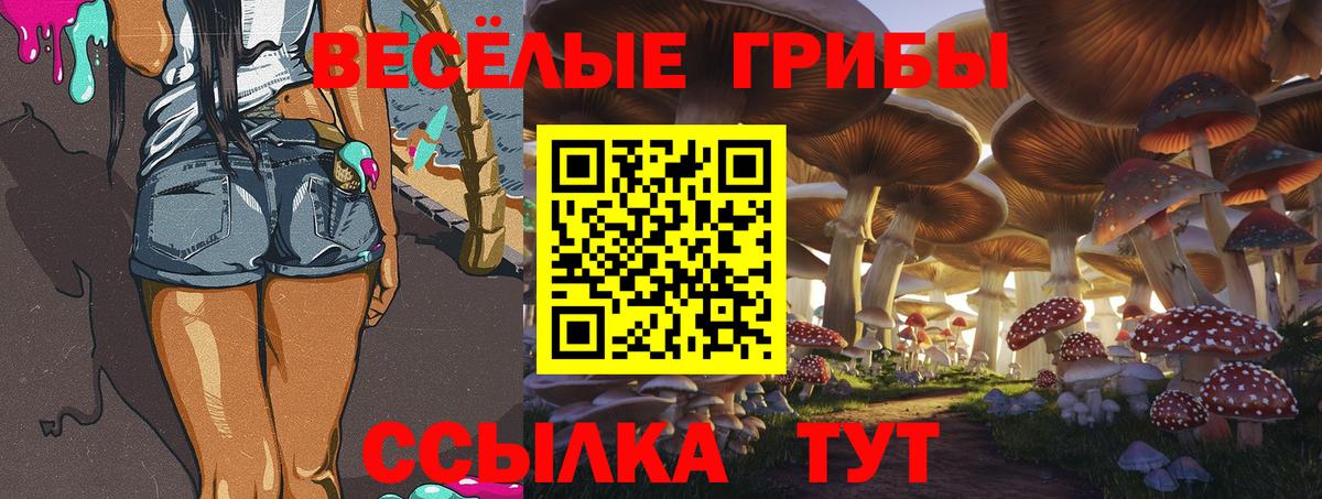 Галлюциногенные грибы MAGIC MUSHROOMS  Вход с VPN  Псилоцибиновые грибы мухоморы  Советская Гавань 