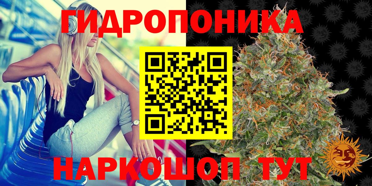 Шишки марихуана Bruce Banner Советская Гавань